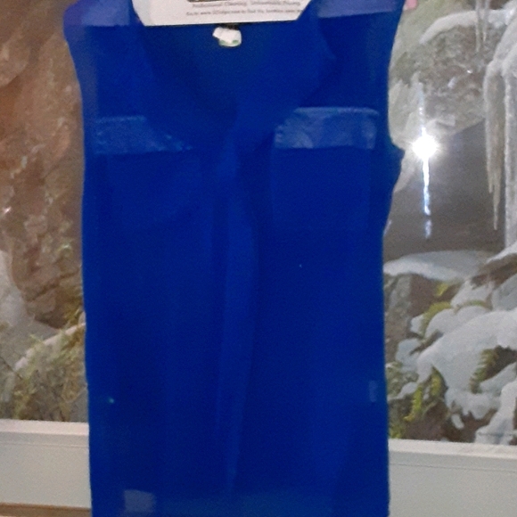 Blue sheer top - Picture 1 of 2